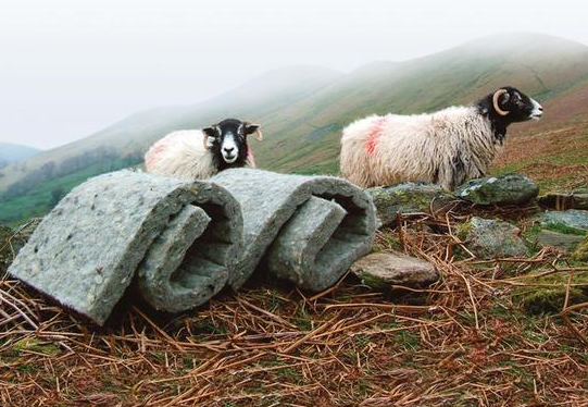 Thermafleece with two sheep on hilllside