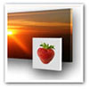 Photosorption sound absorbing photograph with small picture of strawberry